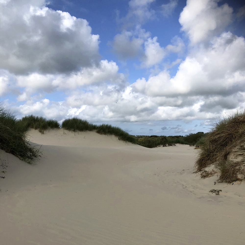 Borkum Gallery Image