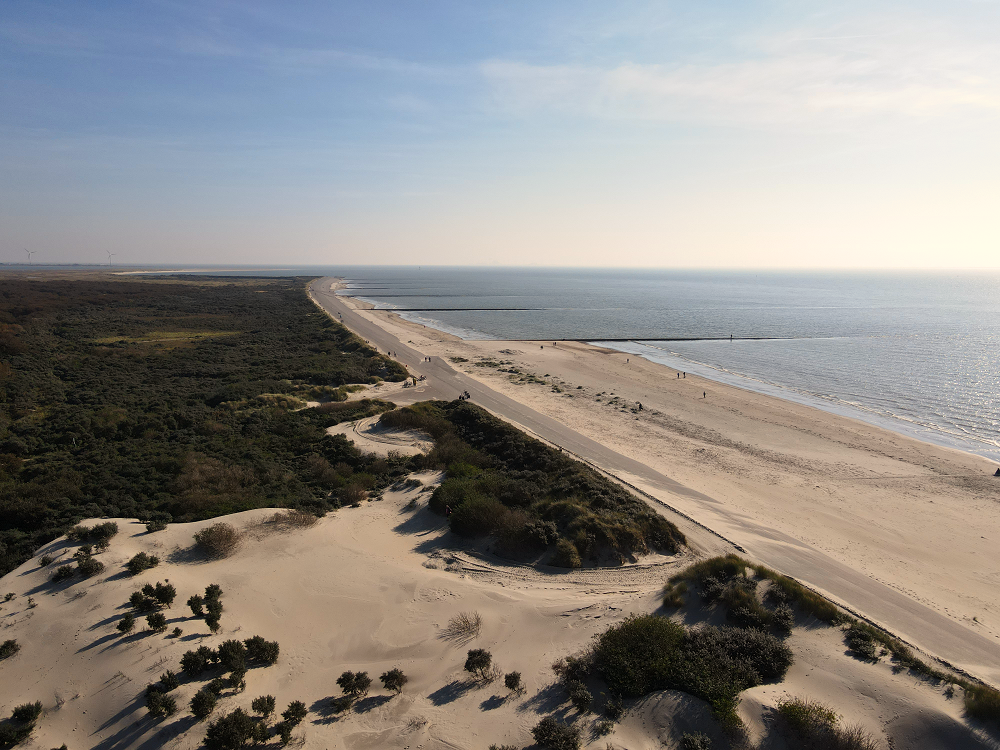 Borkum Gallery Image