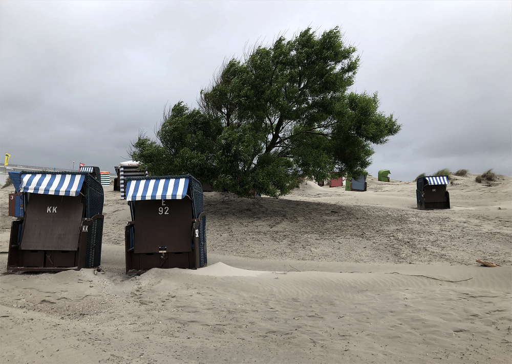 Borkum Gallery Image